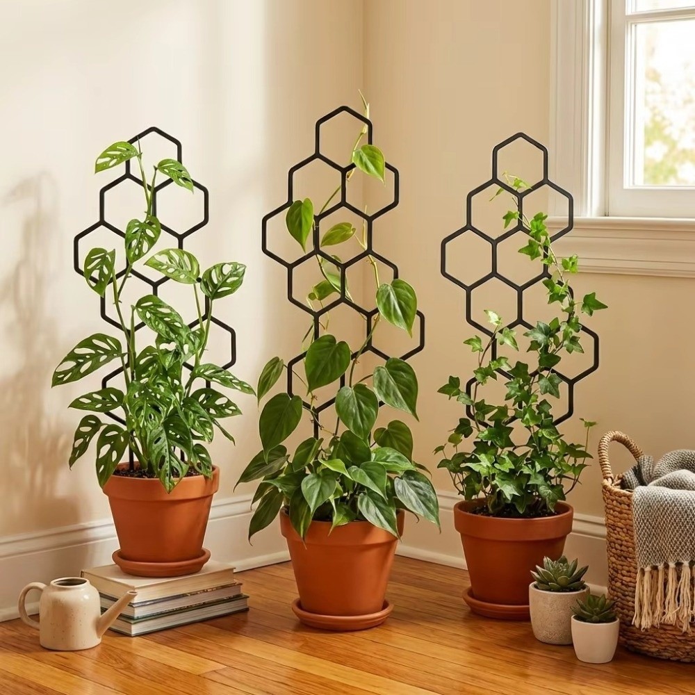Sphagnum Moss Dry - دعامة نباتات بتصميم خلية النحل، إطار